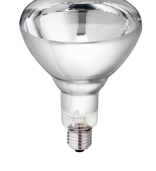 Wärmelampe aus Hartglas für Jungtiere, 250 W, Weiß