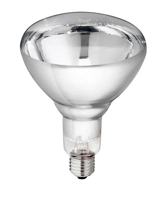 Wärmelampe aus Hartglas für Jungtiere, 250 W, Weiß – Bild 1