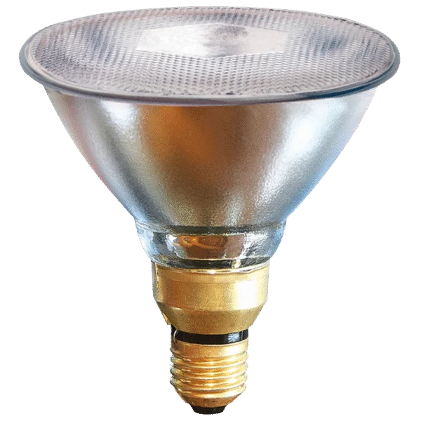 Energiesparlampe 100 W Weiß