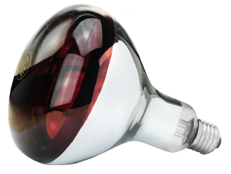 Wärmelampe aus Hartglas für Jungtiere, 250 W Rot