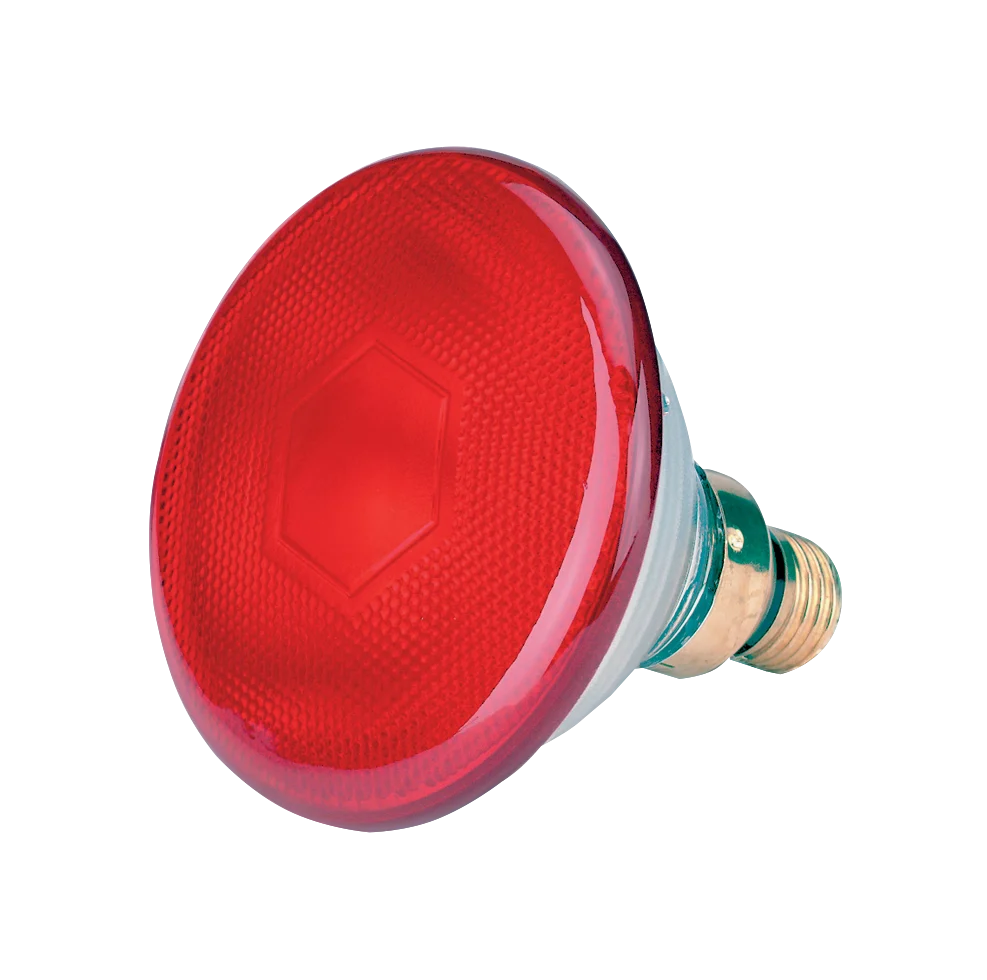 LAMP0011.png Energiesparlampe 100 W Rot – Bild 1