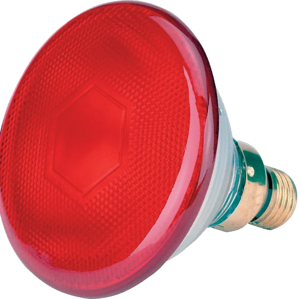 Energiesparlampe 175 W Rot