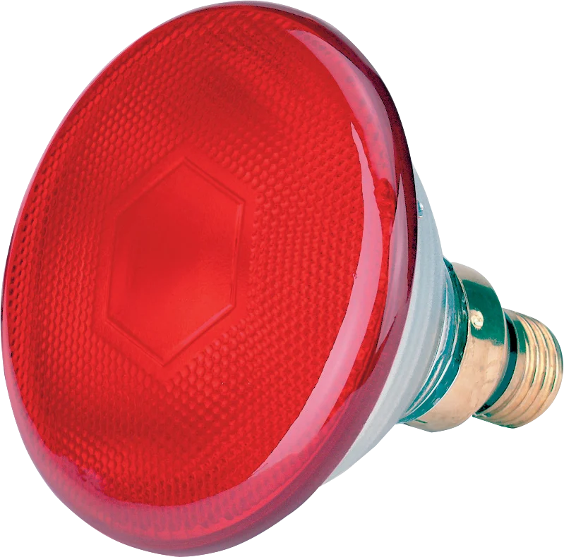 LAMP0015.png Energiesparlampe 175 W Rot – Bild 1