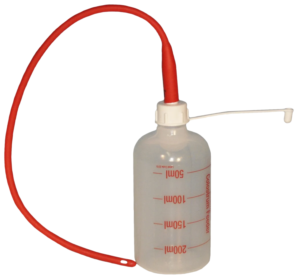 Lammsonde 40 cm mit Flasche mit 250 ml Fassungsvermögen – Bild 1