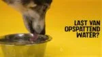 Silikon Futter und Wassernapf für Hunde mit Überlaufschutz, 800 ml Anthrazit – Excellent Pets No-Spill Bowl – Bild 4