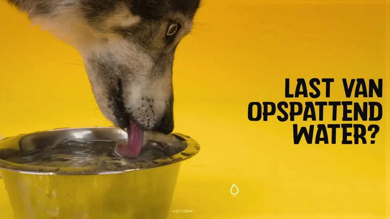 Silikon Futter und Wassernapf für Hunde mit Überlaufschutz, 800 ml Anthrazit – Excellent Pets No-Spill Bowl – Bild 4