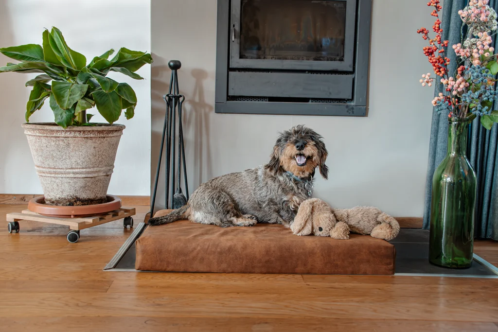 Orthopädisches Hundekissen mit Memoryschaum, Cognac XL, 125 x 90 x 10 cm – Let's Sleep Mellow Mattress – Bild 2