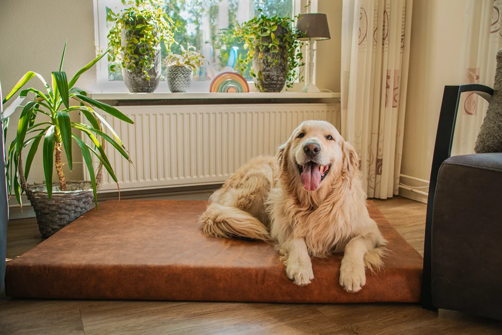 Orthopädisches Hundekissen mit Memoryschaum, taupe XL, 125 x 90 x 10 cm – Let's Sleep Mellow Mattress – Bild 3