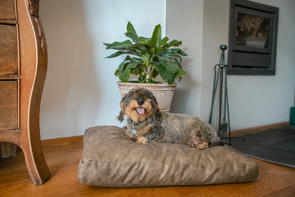 Hundekissen mit Schaumstoffflocken XL Anthrazit, 125 x 90 x 10 cm – Let's Sleep Plush Pillow – Bild 2