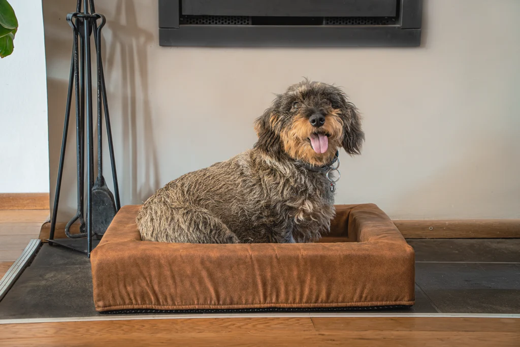 Hundekissen mit erhöhtem Rand Cognac, 60 x 50 x 12 cm – Let's Sleep Comfy Cushion M – Bild 2
