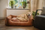 Hundebett mit herausnehmbarem Kissen, XL, Taupe – Let's Sleep Sweet Dreams – Bild 2
