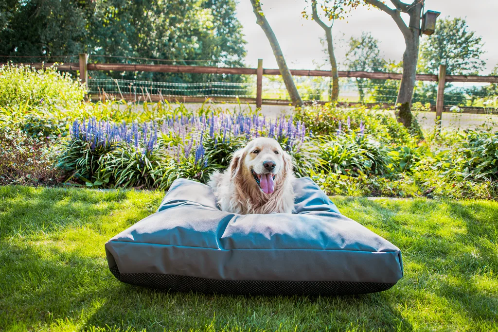 Outdoor Hundekissen mit wasserabweisender Außenseite, Anthrazit XL, 125 x 90 x 10 cm – Let's Sleep Cushy Cloud – Bild 2