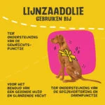 Leinöl für Hunde mit Omega 3, kaltgepresst, 500 ml – Excellent Pets Linseed Oil – Bild 6