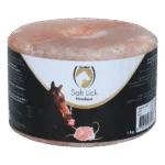 Salzleckstein aus Himalaya Salz für Pferde ohne Seil, 1 kg – Excellent Horse Salt Lick Himalaya