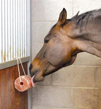 Leckstein aus Himalaya Salz für Pferde mit Seil, 2 bis 3 kg – Excellent Horse Salt Lick Himalaya – Bild 2