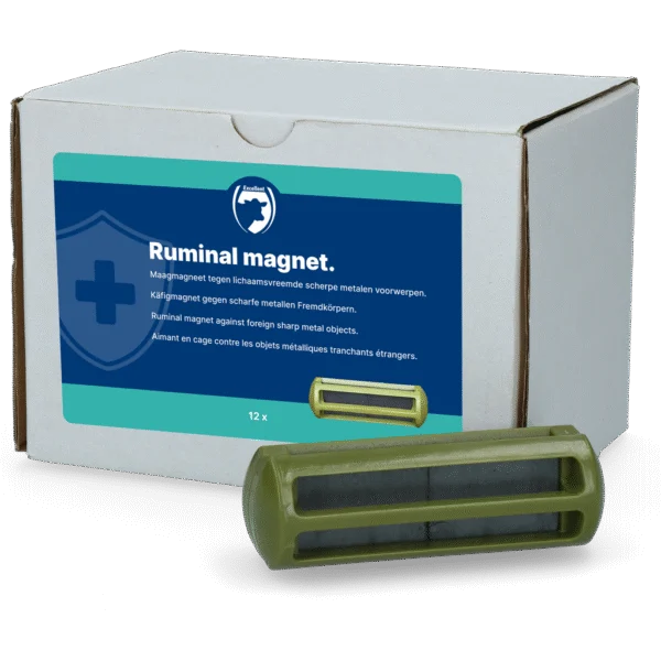 Pansenmagnet für Rinder, 12 Stück – Excellent