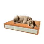Orthopädisches Hundekissen mit Memoryschaum Orange S, 45 x 55 x 12 cm – Madison Orthopädisches Kissen Velvet