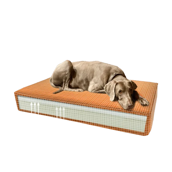 Orthopädisches Hundekissen mit Memoryschaum Orange S, 45 x 55 x 12 cm – Madison Orthopädisches Kissen Velvet