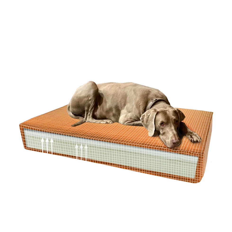 MADI0901.png Orthopädisches Hundekissen mit Memoryschaum Orange S, 45 x 55 x 12 cm – Madison Orthopädisches Kissen Velvet – Bild 1