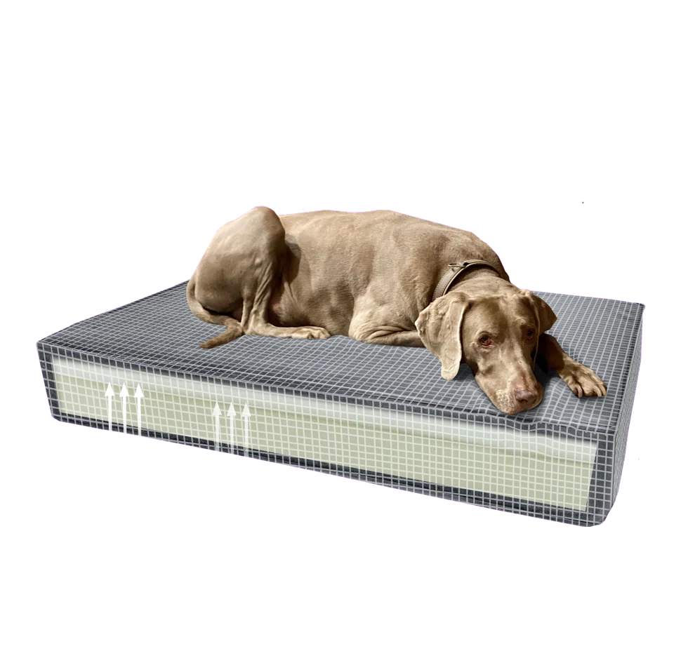 Orthopädisches Hundekissen mit Memoryschaum Orange S, 45 x 55 x 12 cm – Madison Orthopädisches Kissen Velvet – Bild 4