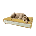 Orthopädisches Hundekissen mit Memoryschaum Gelb S, 45 x 55 x 12 cm – Madison Orthopädisches Kissen Velvet – Bild 2