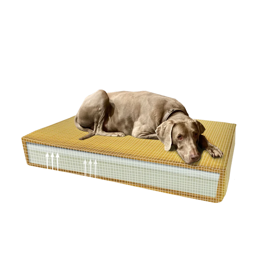 Orthopädisches Hundekissen mit Memoryschaum Gelb S, 45 x 55 x 12 cm – Madison Orthopädisches Kissen Velvet – Bild 2