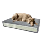 Orthopädisches Hundekissen mit Memoryschaum Gelb S, 45 x 55 x 12 cm – Madison Orthopädisches Kissen Velvet – Bild 6