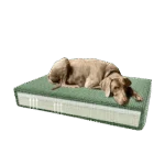 Orthopädisches Hundekissen mit Memoryschaum Grün S, 45 x 55 x 12 cm – Madison orthopädisches Samtkissen – Bild 4