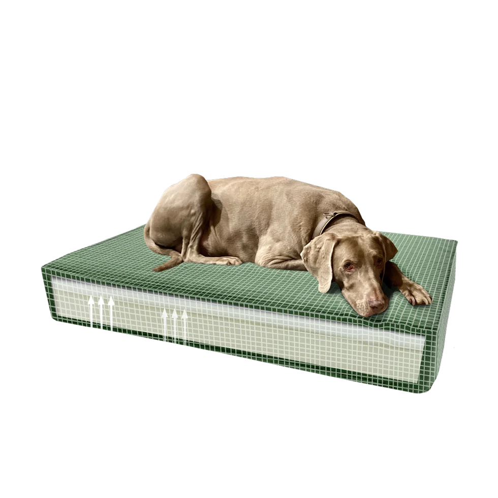 Orthopädisches Hundekissen mit Memoryschaum Grün S, 45 x 55 x 12 cm – Madison orthopädisches Samtkissen – Bild 4