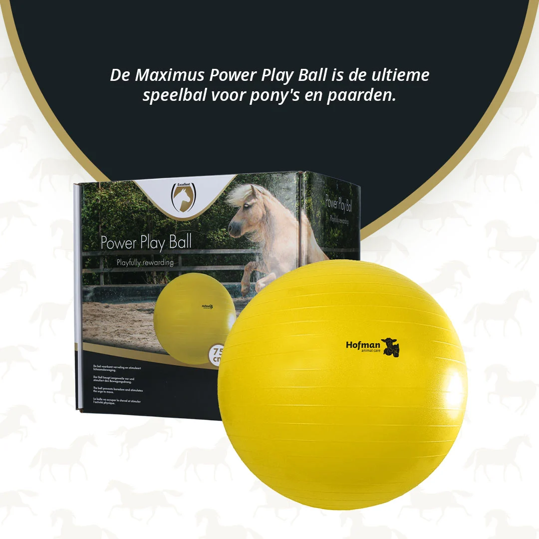 Spielball für Pferde, Gelb, 75 cm – Maximus Power Play Ball – Bild 3