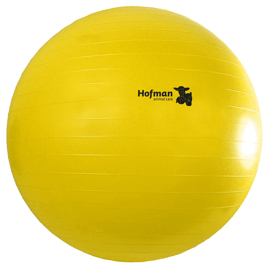 Spielball für Pferde, Gelb, 75 cm – Maximus Power Play Ball – Bild 2