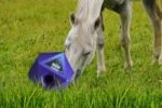 Futterspielwürfel für Pferde mit 37 mm großer Leckerliöffnung, Blau – Maximus Feed & Play Cube – Bild 3