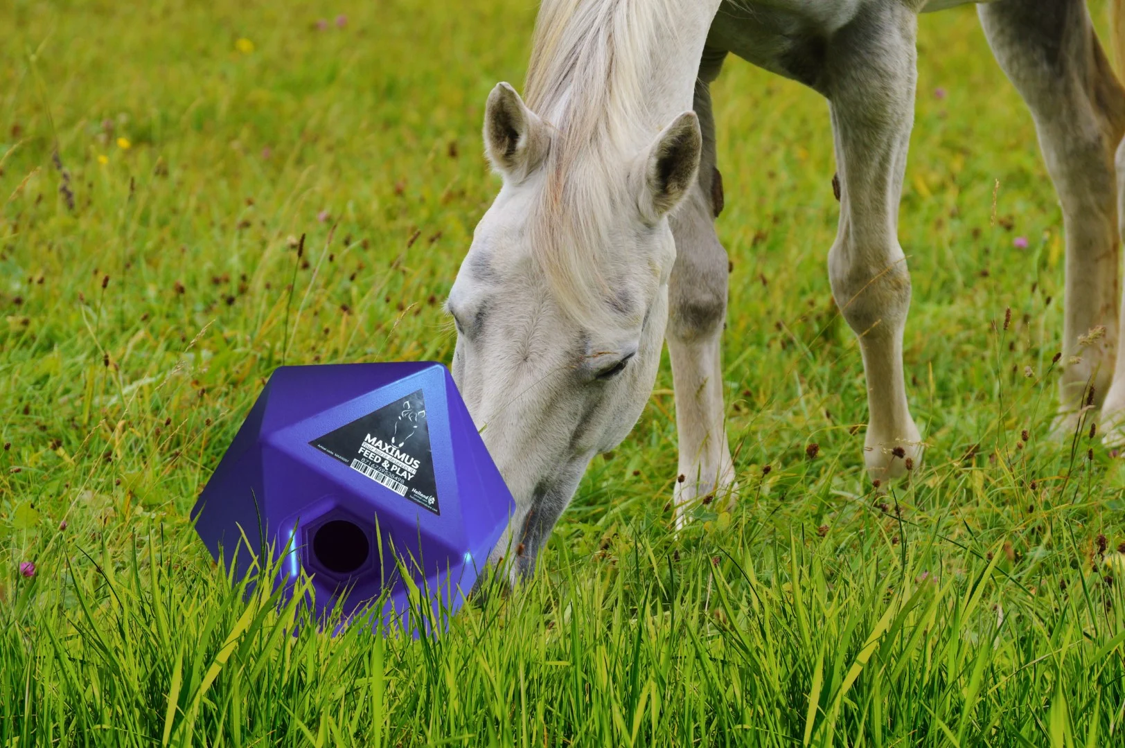Futterspielwürfel für Pferde mit 37 mm großer Leckerliöffnung, Blau – Maximus Feed & Play Cube – Bild 3