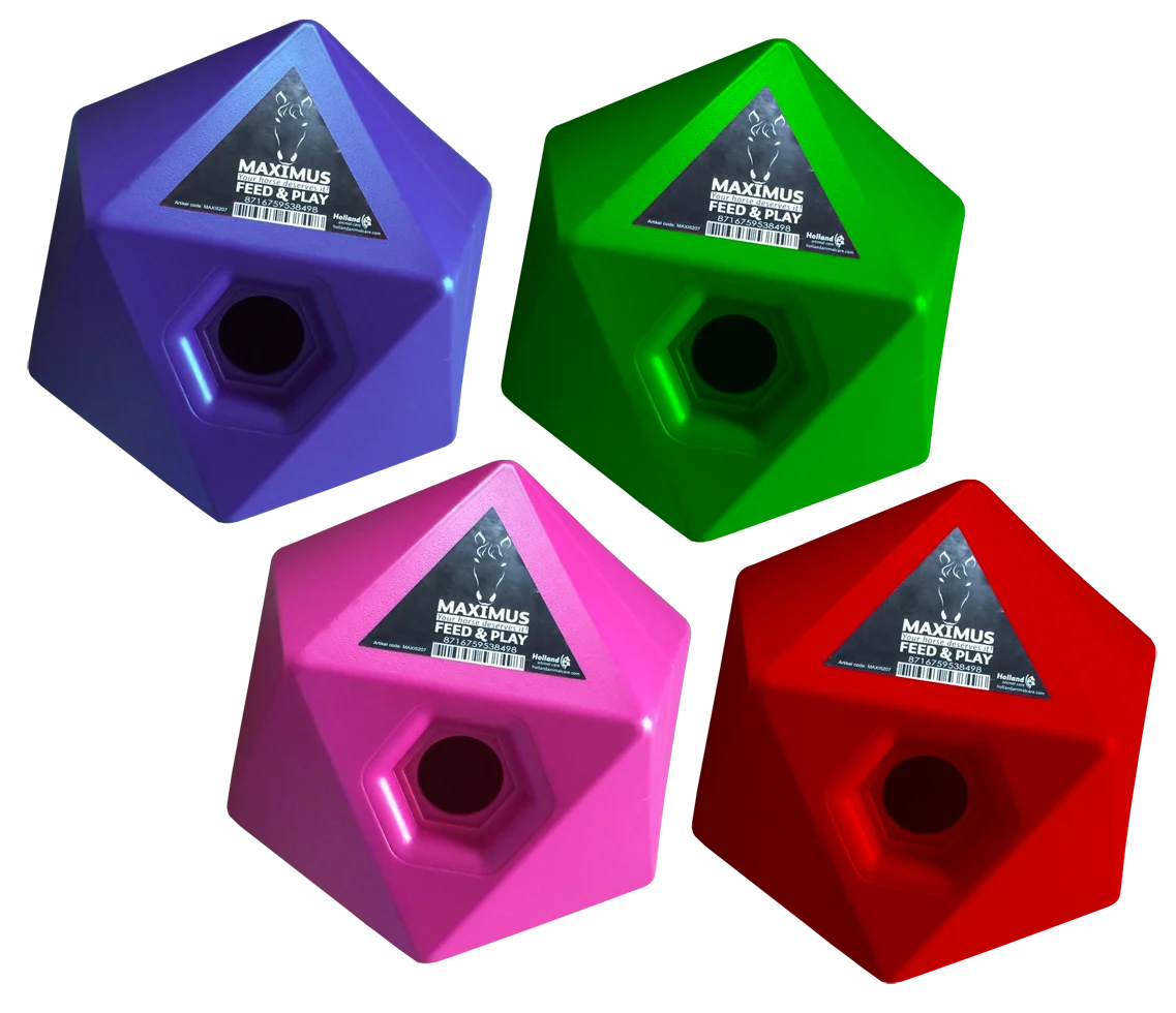 Futterspielwürfel für Pferde mit 37 mm großer Leckerliöffnung, Grün – Maximus Feed & Play Cube – Bild 2