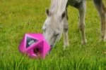 Futterwürfel für Pferde, rosa, Belohnungsöffnung 37 mm – Maximus Feed & Play Cube – Bild 3