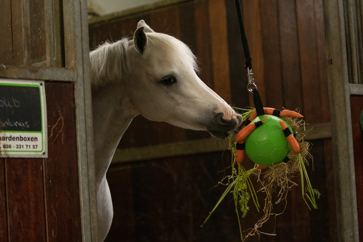 Pferdespielball mit Gummibändern, 19 cm, Rosa – Excellent Horse Fun Play Ball – Bild 4