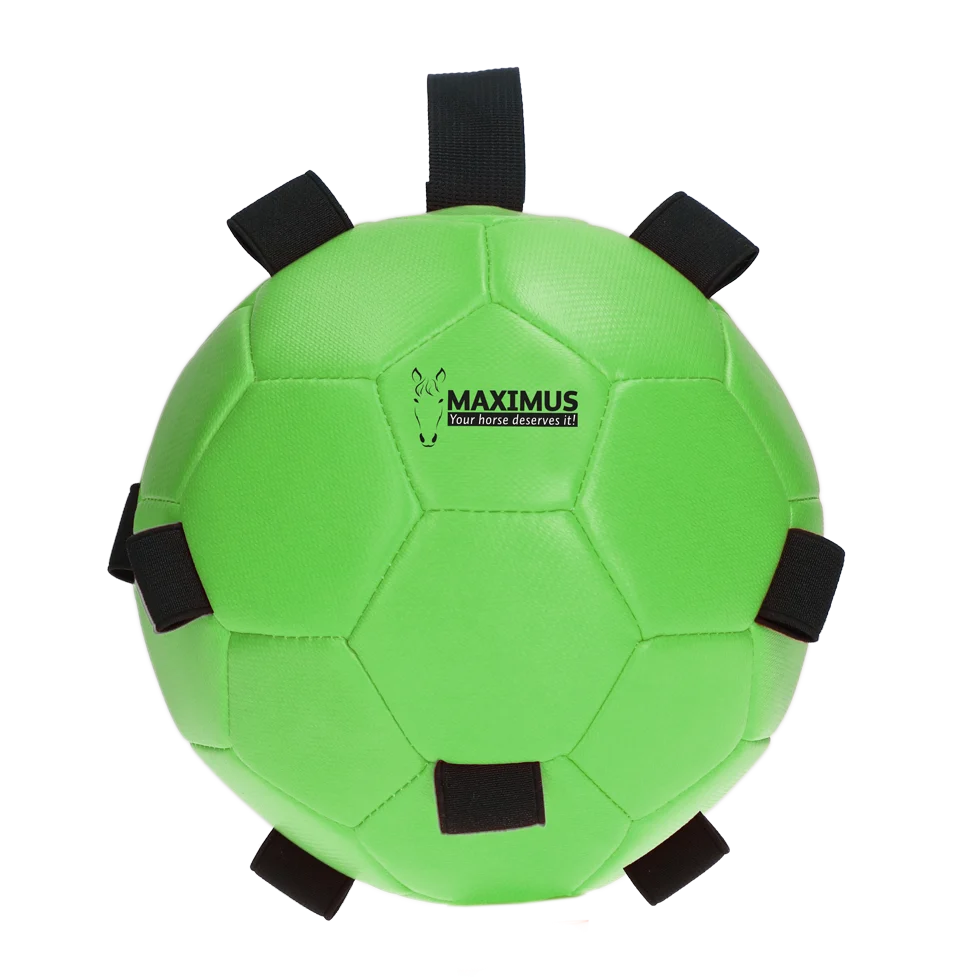 Pferdespielball mit Gummischlaufen, 19 cm, Grün – Excellent Horse Fun Play Ball – Bild 2