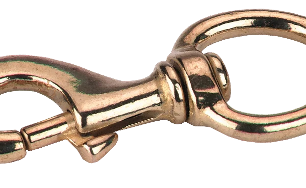 Karabinerhaken, goldfarben, 9 x 4 cm
