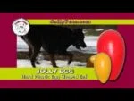 Hundespielzeug aus Kunststoff, Lila, 30 cm – Jolly Pets Egg – Bild 4