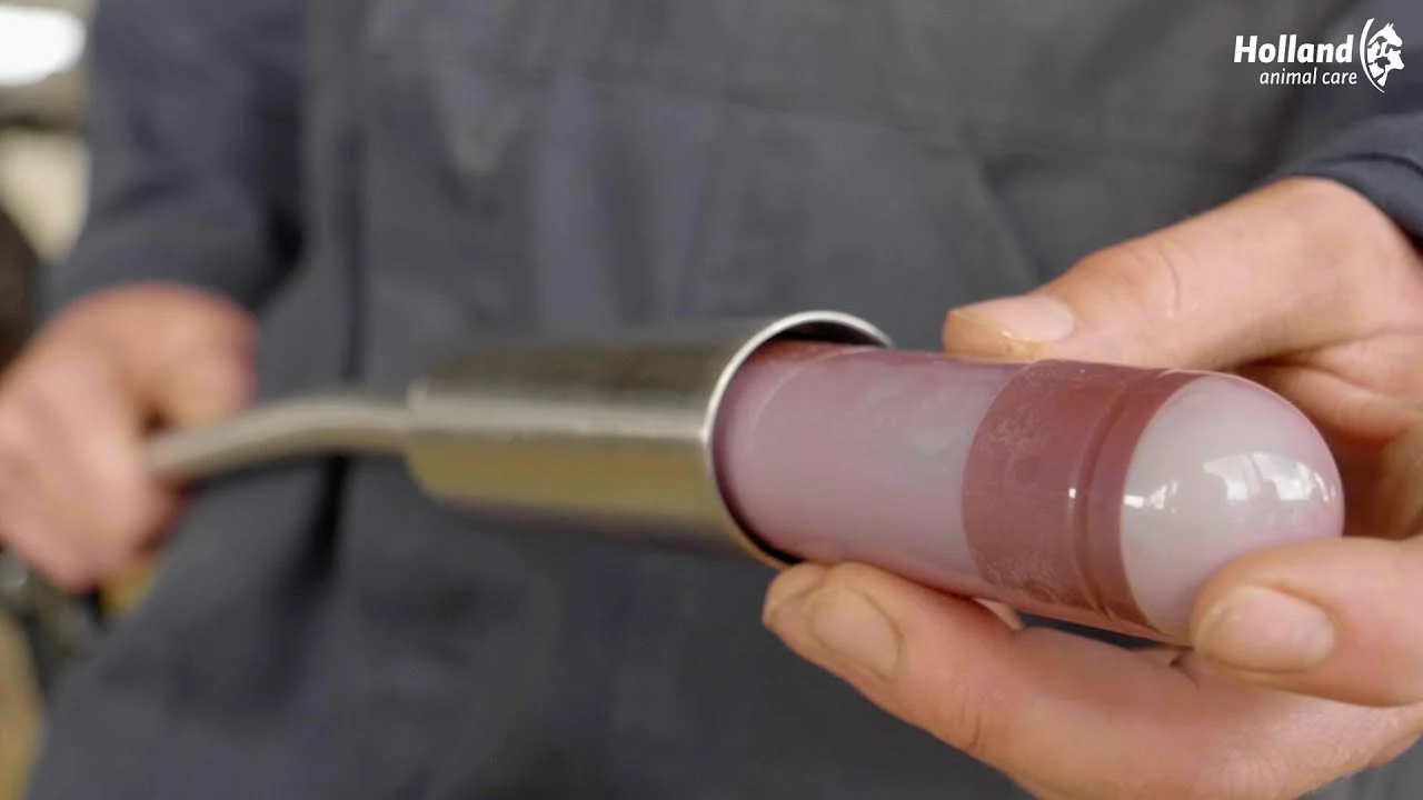 Energiebolus für Milchkühe mit Vitaminen und Mineralstoffen, 12 x 67 g – Direct Bolus Energy – Bild 2