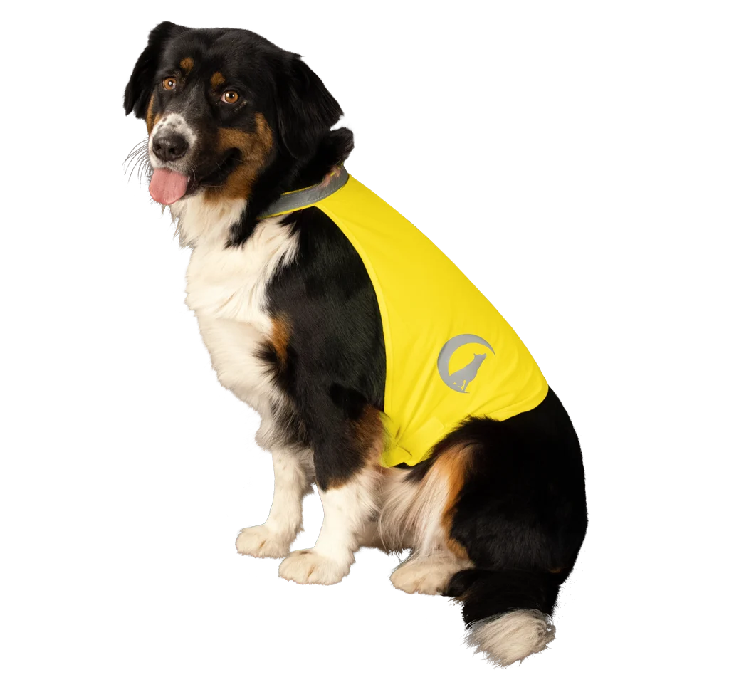 Sicherheitsweste für Hunde mit reflektierenden Details und Klettverschluss, Gelb, M – Nightwalk Safety Vest – Bild 3