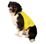 Sicherheitsweste für Hunde mit reflektierenden Details und Klettverschluss, Gelb, L – Nightwalk Safety Vest – Bild 3