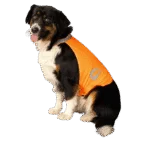 Sicherheitsweste für Hunde mit reflektierenden Details und Klettverschluss, Orange, S – Nightwalk Safety Vest – Bild 3