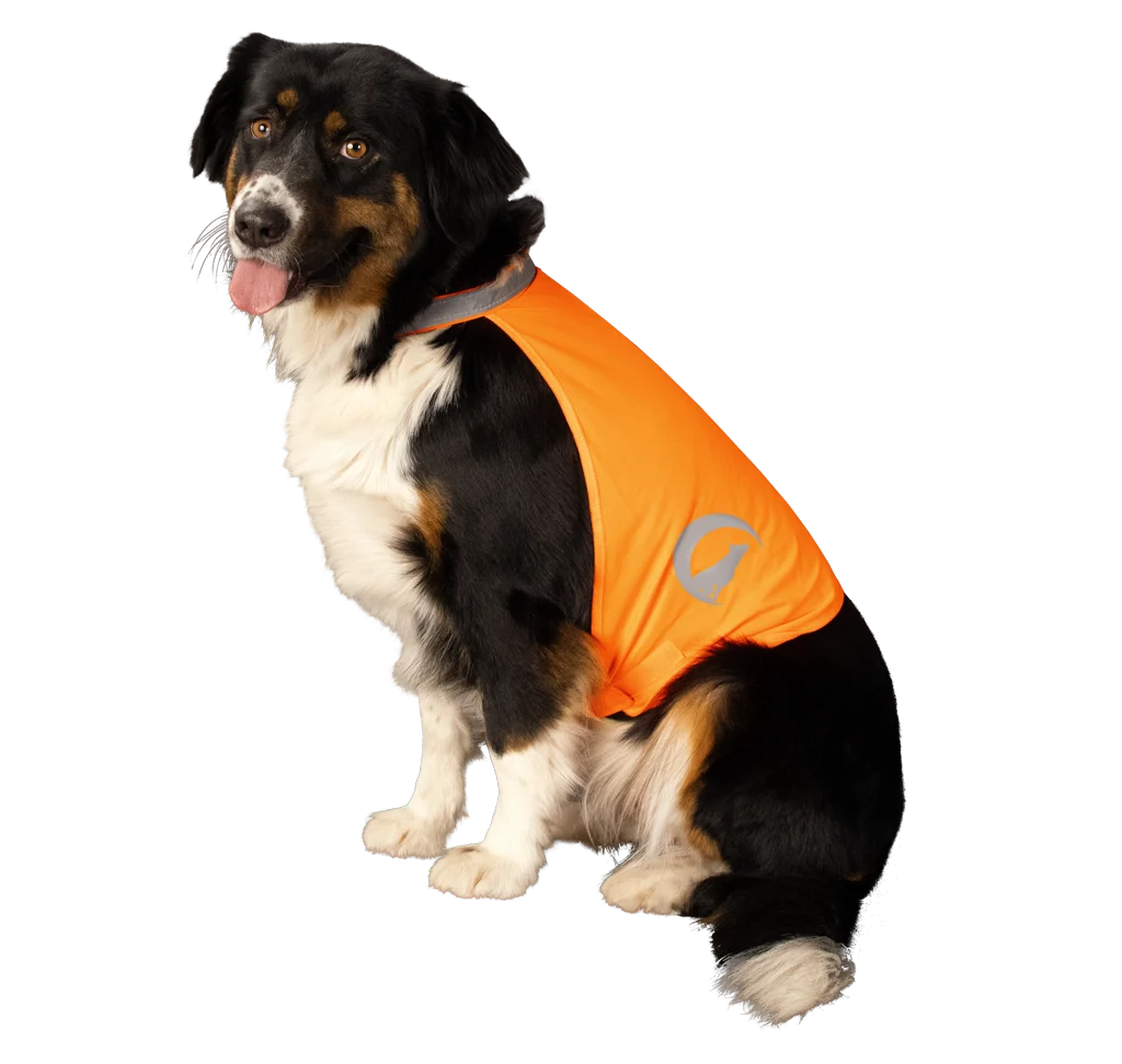 Sicherheitsweste für Hunde mit reflektierenden Details und Klettverschluss, Orange, S – Nightwalk Safety Vest – Bild 3
