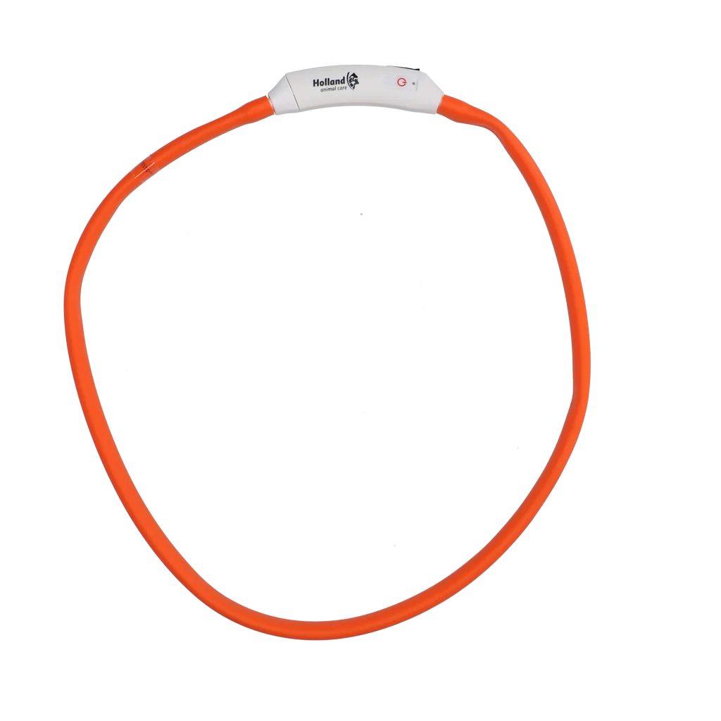 Leuchtendes, wiederaufladbares Hundehalsband, Orange – Nightwalk Safety Collar – Bild 4