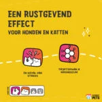 Ergänzungspulver für Hunde und Katzen bei Anspannung, 100 g – Excellent Pets No Stress Mix – Bild 5