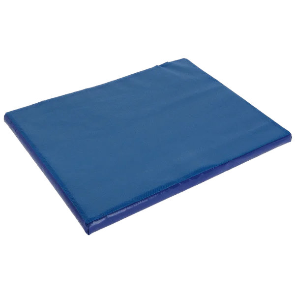 Desinfektionsmatte mit flüssigkeitsabsorbierender Oberseite 55 x 45 x 3 cm – Excellent