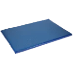 Desinfektionsmatte für Schuhe 85 x 60 x 3,5 cm