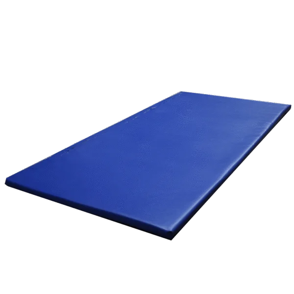 Desinfektionsmatte für Schuhe 180 x 90 x 4 cm – Gobel