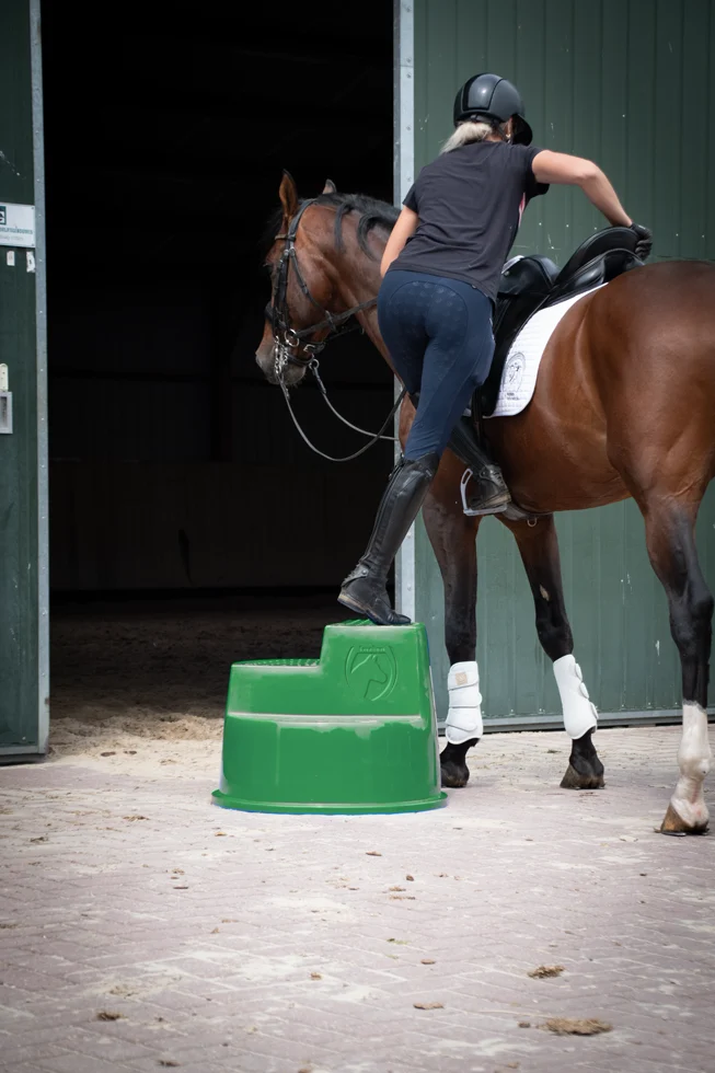 Aufstiegshilfe mit 3 rutschhemmenden Stufen, grün, 53 cm – Excellent Horse – Bild 3